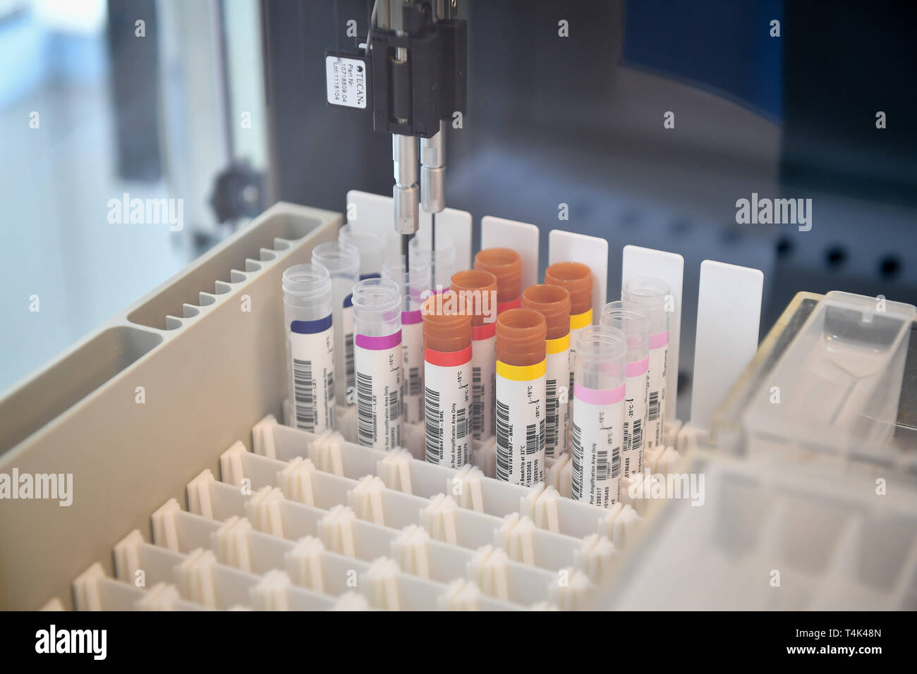Samples are prepared for DNA extraction in a medical clinical laboratory, based at University of Bristol. PRESS ASSOCIATION Photo. Picture date: Monday April 8, 2019. Photo credit should read: Ben Birchall Stock Photo