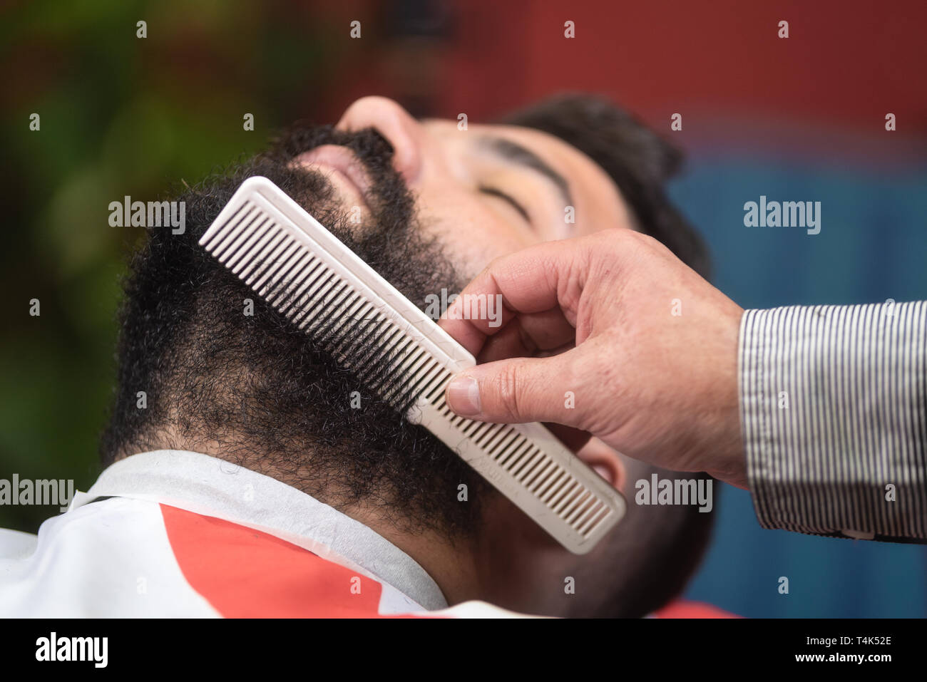 Barber making beard hairstyle using comb at barber shop Stock Photo Alamy