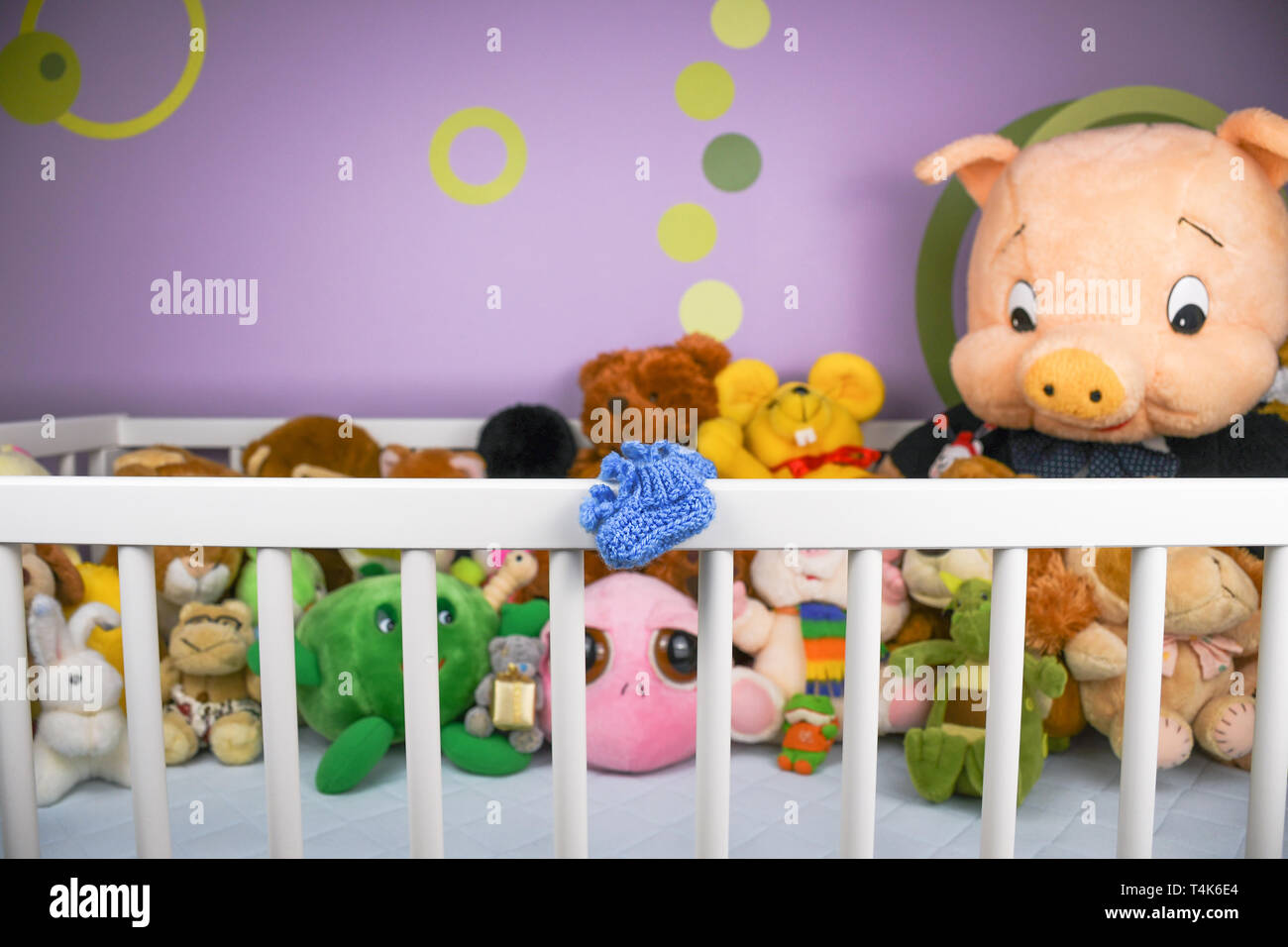Stuffed animal toys crib hi-res stock photography and images - Alamy