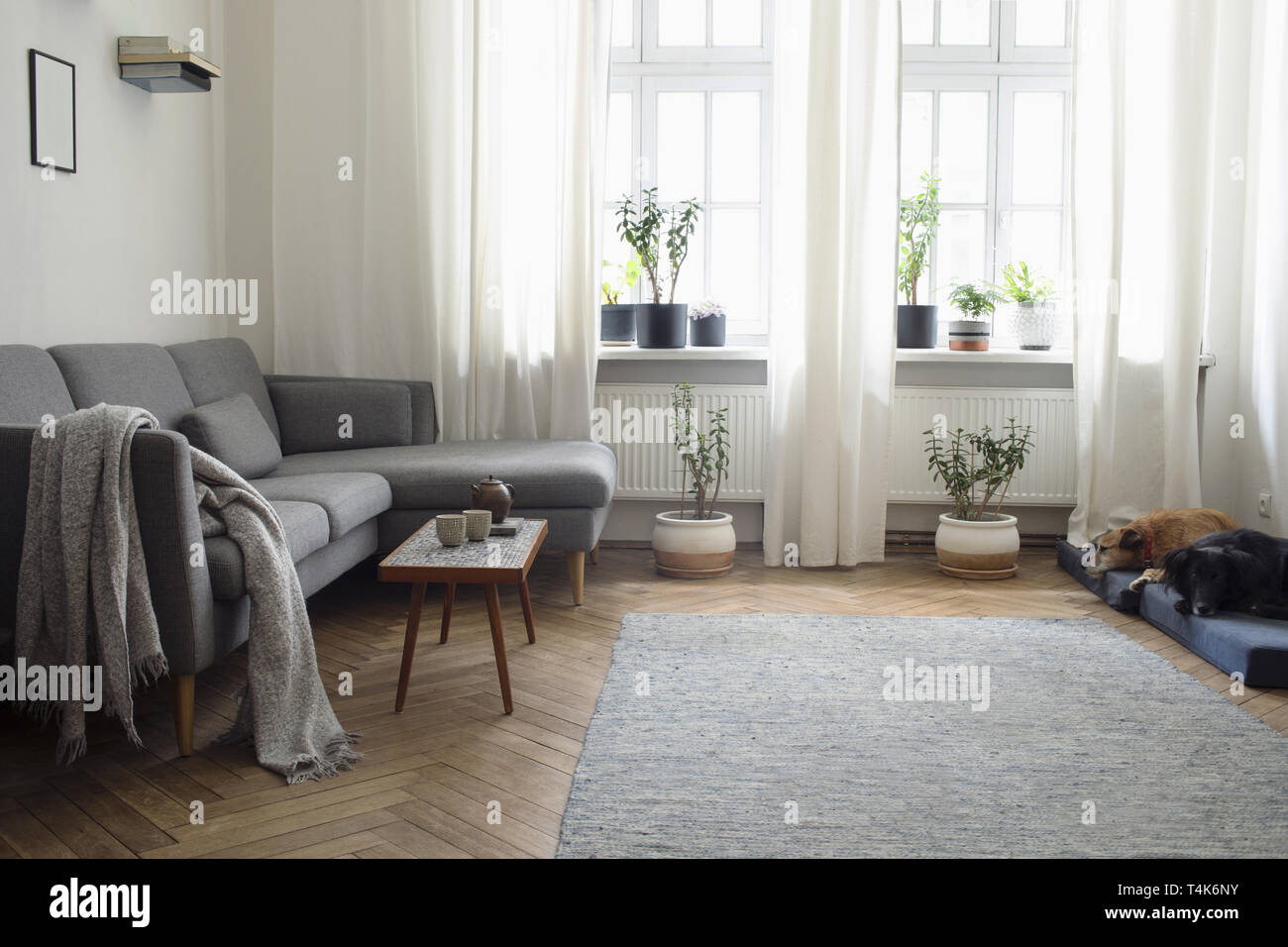 Stylish And Modern Interior Of Living Room Scandinavian