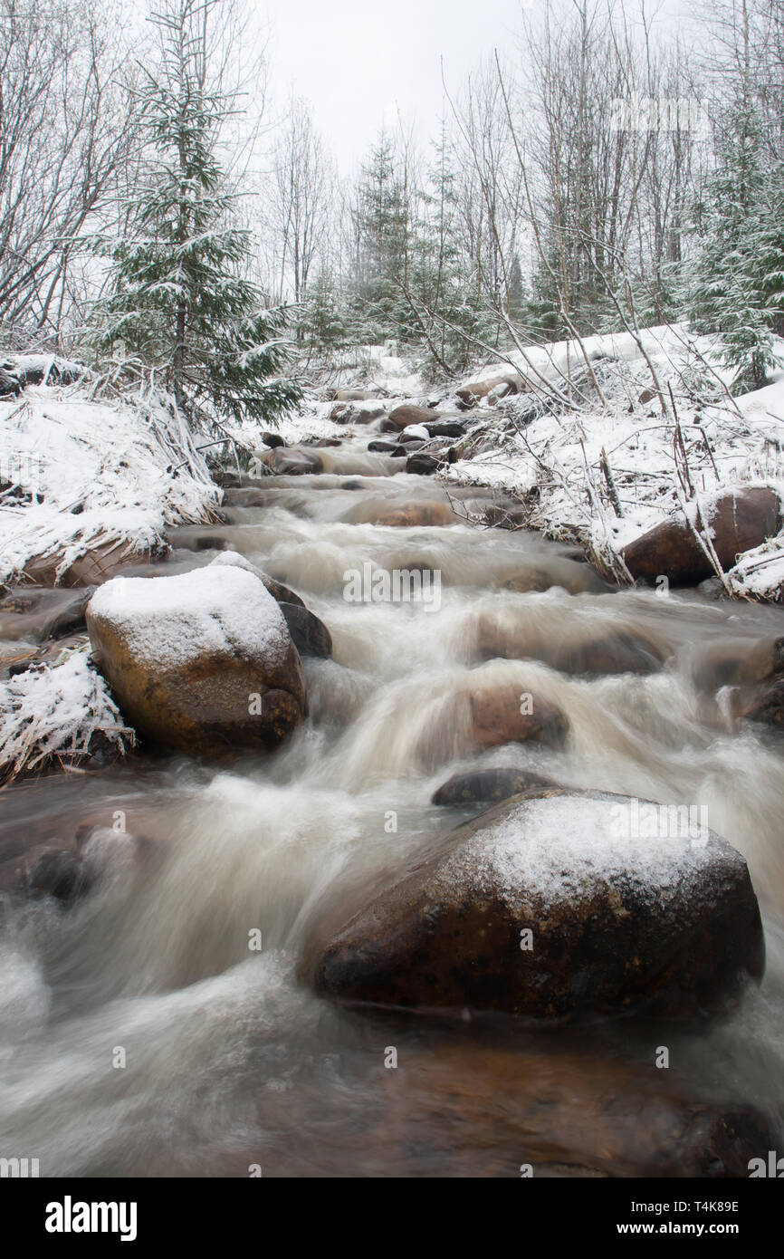 the rapid flow of melt water in the spring forest Stock Photo