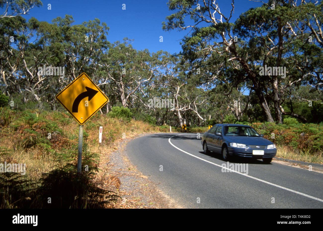 CAR TRAVELLING ALONG COUNTRY ROAD AND ROAD SIGN INDICATING TO TRAFFIC A BEND IN THE ROAD IS APPROACHING, NEW SOUTH WALES, AUSTRALIA. Stock Photo