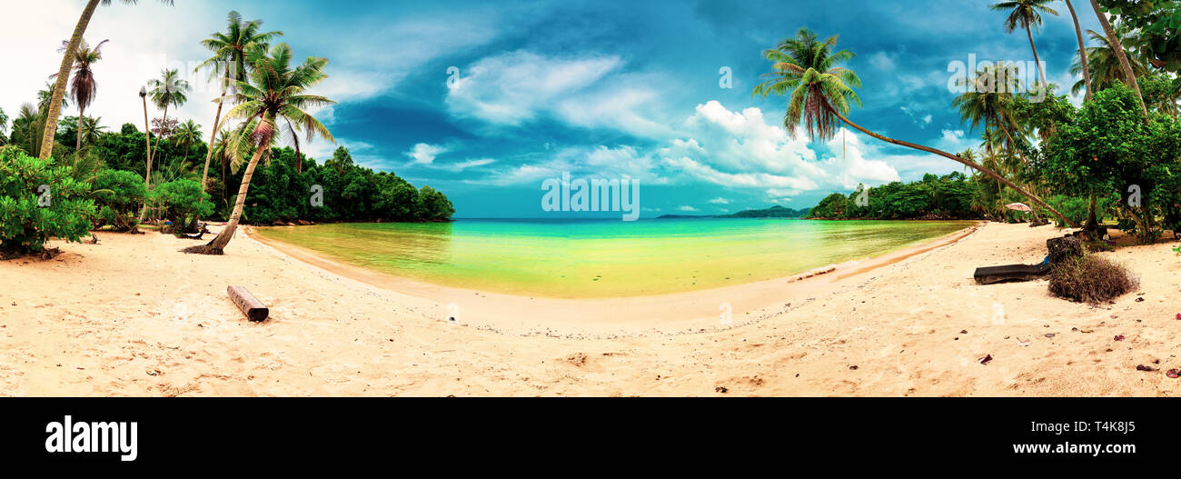 Panoramic landscape amazing tropical beach with crystal clear sea water, palm trees on background scenery tropic nature Stock Photo
