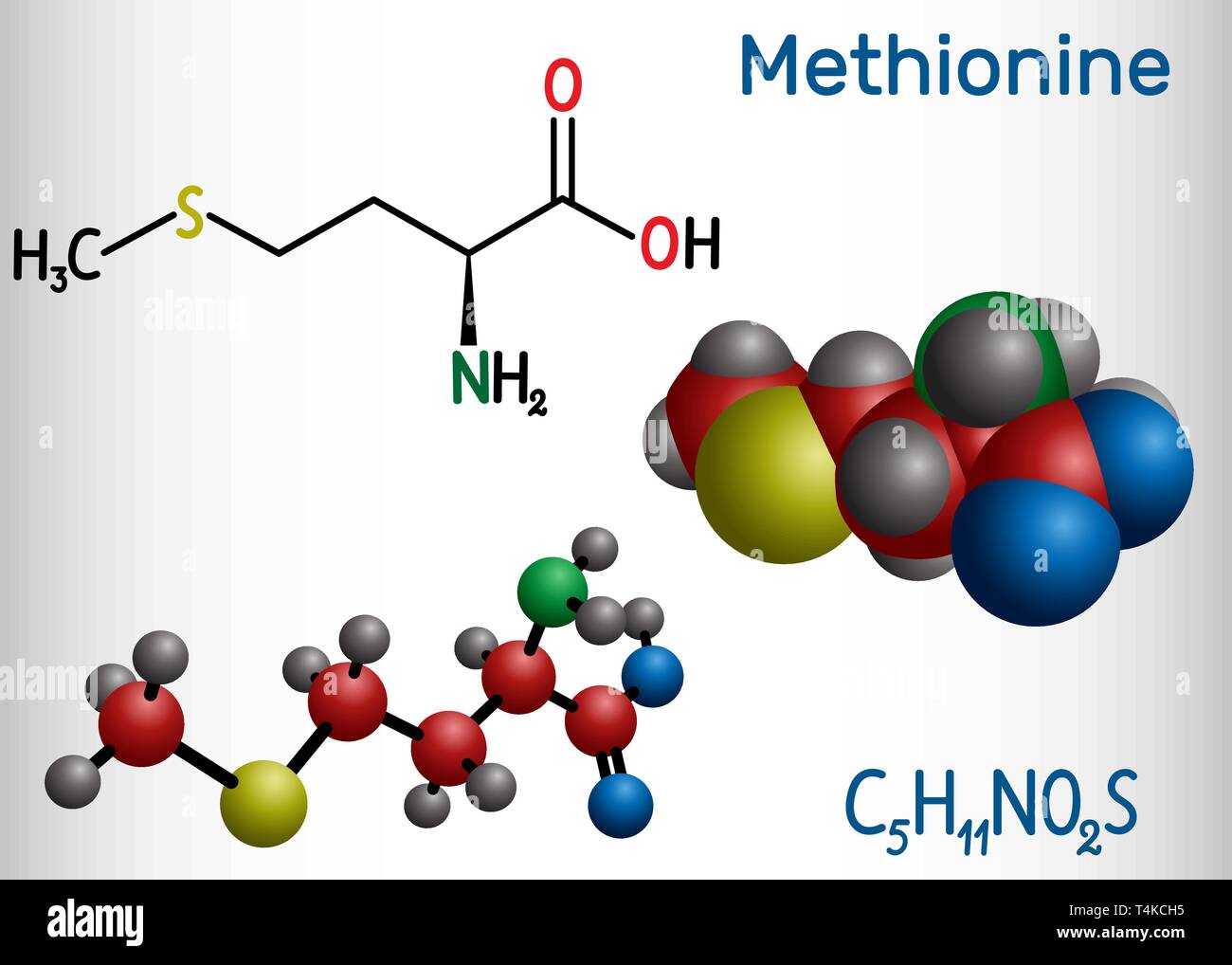 Methionine l- methionine, Met , M essential amino acid molecule. Structural chemical formula and molecule model. Vector illustration Stock Vector