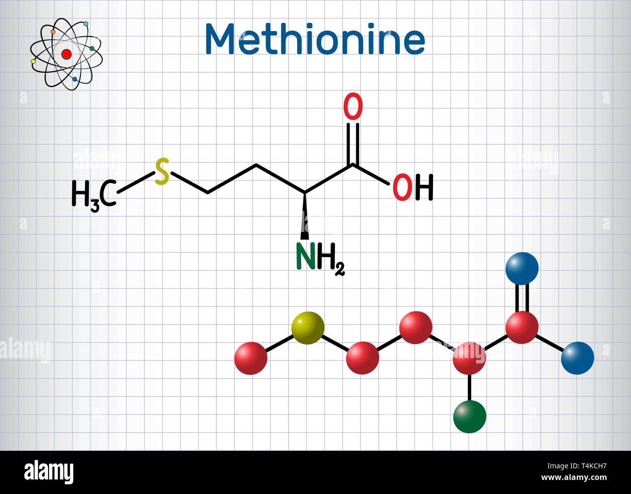 Methionine l- methionine, Met , M essential amino acid molecule. Sheet of paper in a cage. Structural chemical formula and molecule model. Vector illu Stock Vector