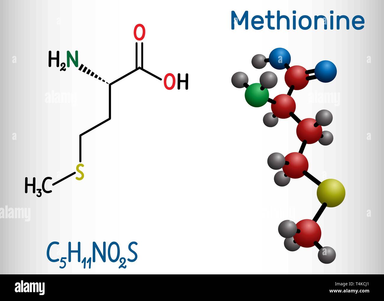 Methionine l- methionine, Met , M essential amino acid molecule. Structural chemical formula and molecule model. Vector illustration Stock Vector