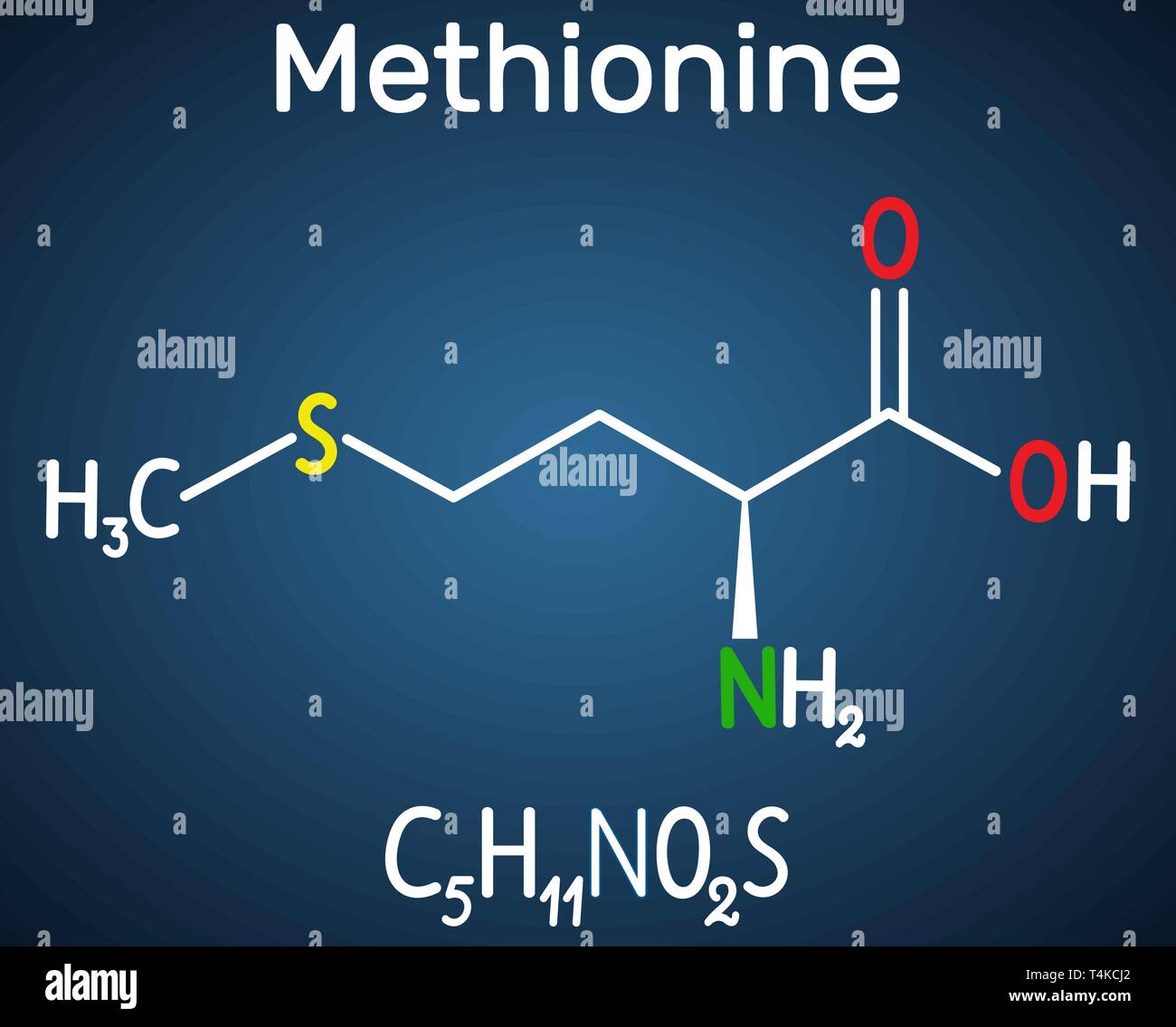 Methionine l- methionine, Met , M essential amino acid molecule. Structural chemical formula on the dark blue background. Vector illustration Stock Vector
