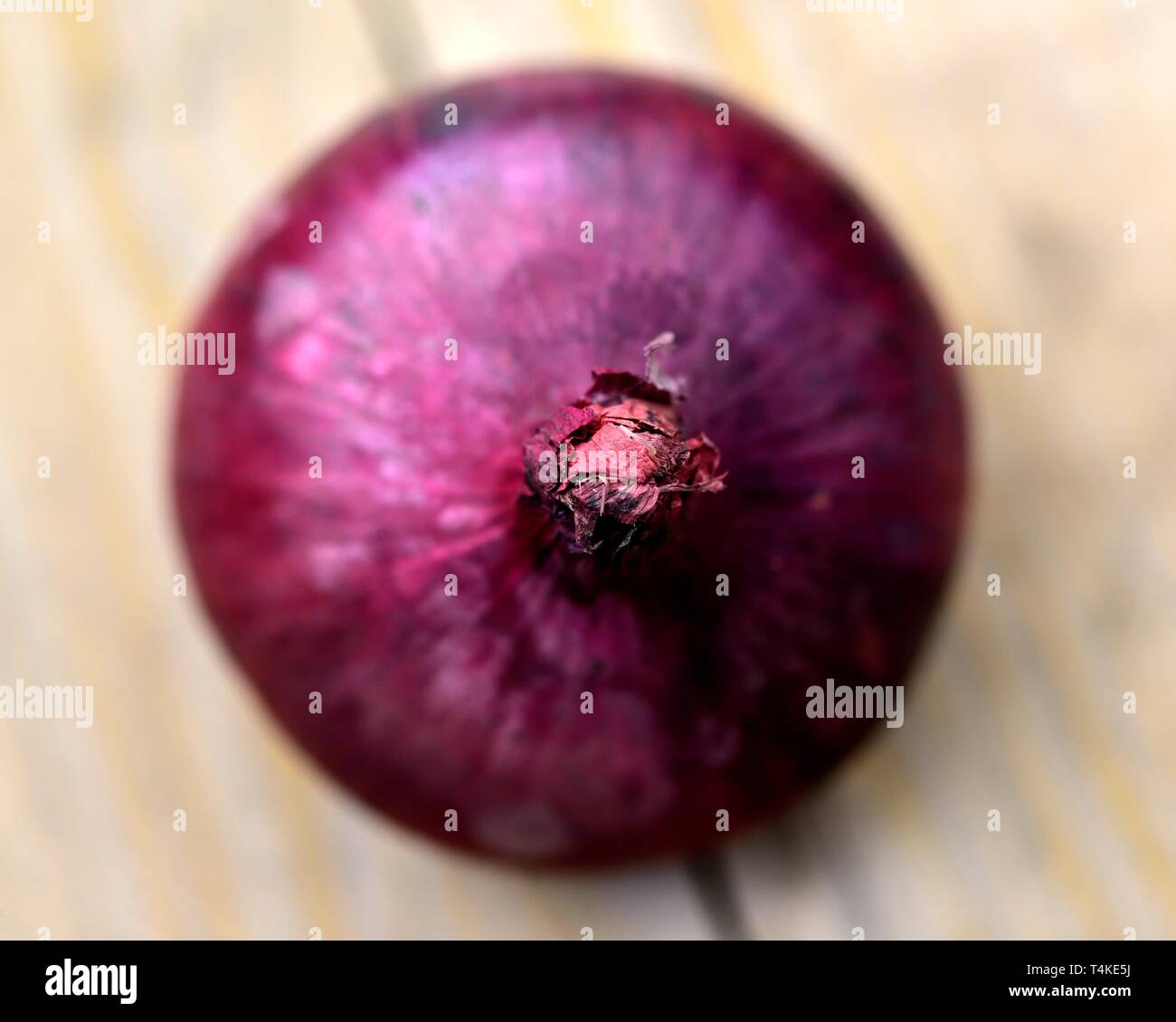 Red onion,Allium cepa Stock Photo