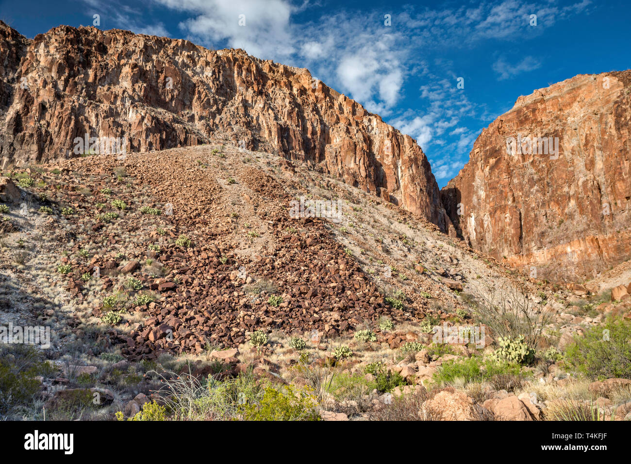 Volcanic cliffs, scree, over River Road in Big Bend Ranch State Park, Texas, USA Stock Photo