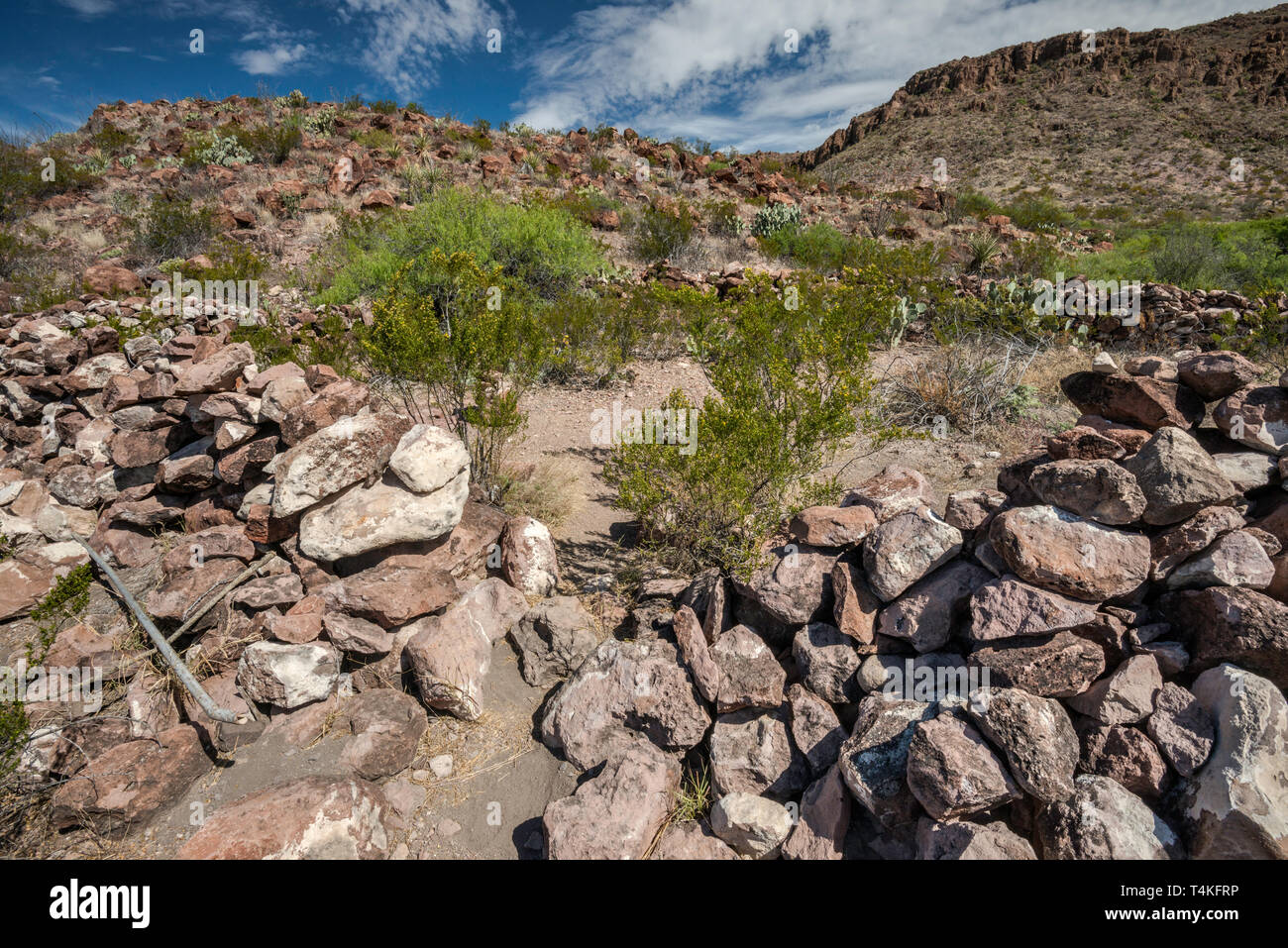 Rock corral near Mule Ear Spring, Big Bend National Park, Texas, USA ...