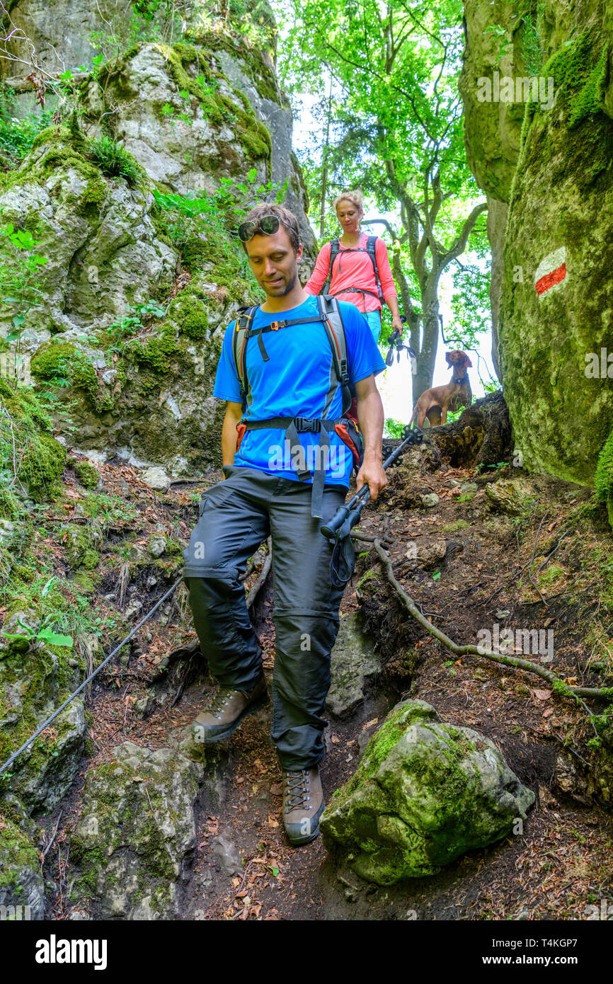 Hiking on an exciting and challenging trail in forest Stock Photo