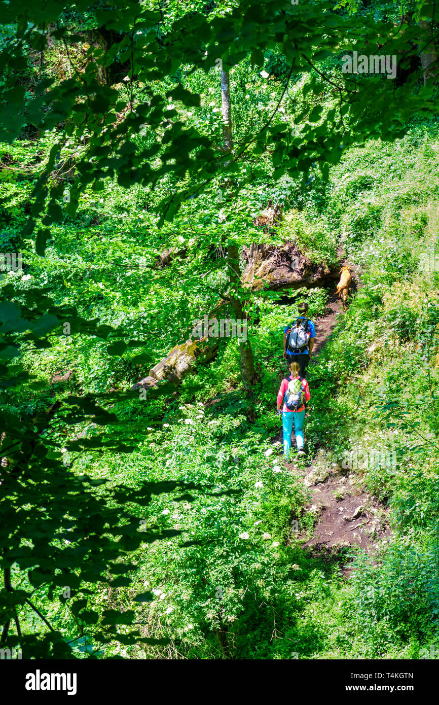 Nature park adventure hi-res stock photography and images - Alamy