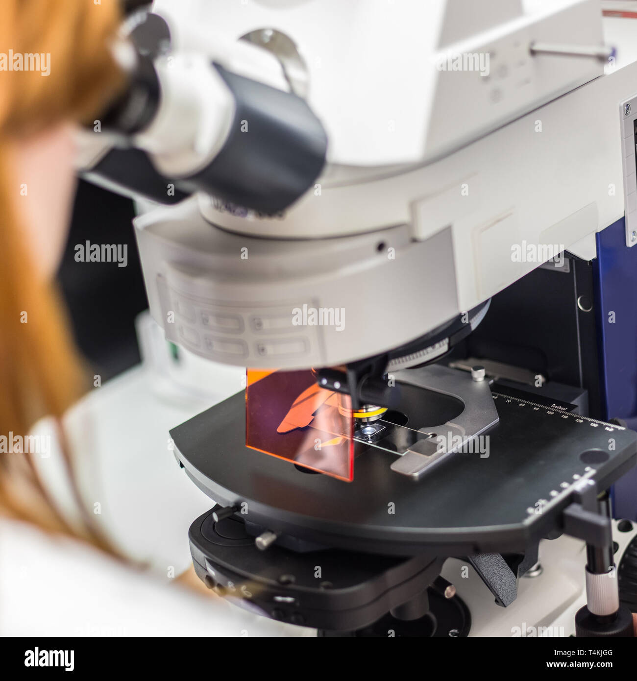 Helth care professional microscoping on hi-tec fluorescent microscope. Stock Photo