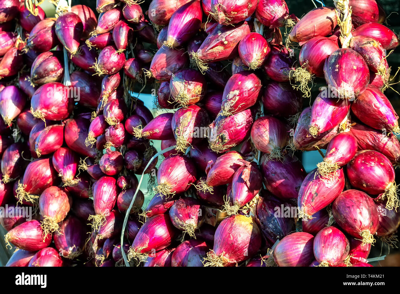 The sweet red onion of tropea hires stock photography and images Alamy