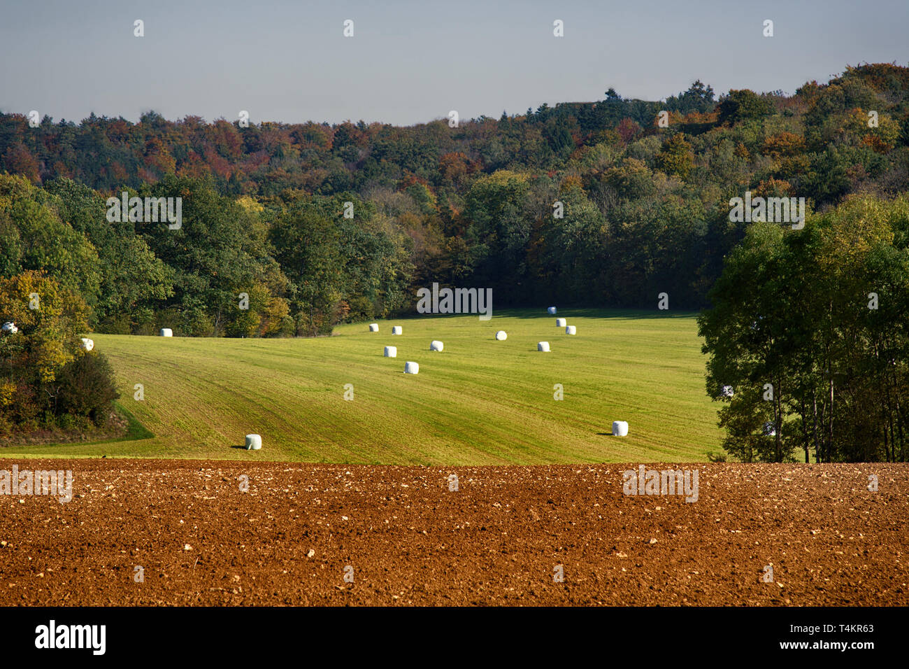 The crop in the fields is harvested, plowing and sowing of winter crops