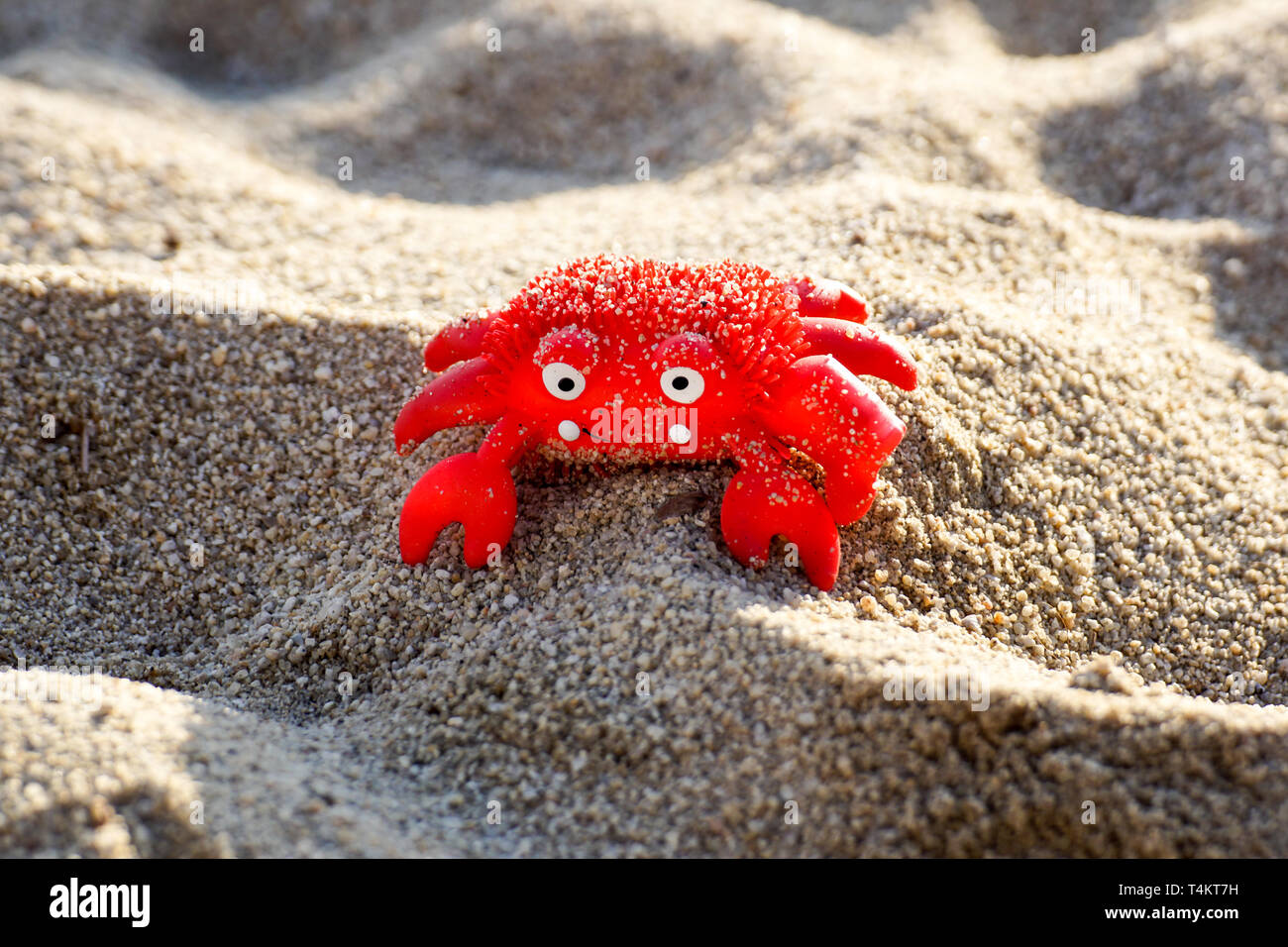 Colourful red crab toy on a beach Stock Photo