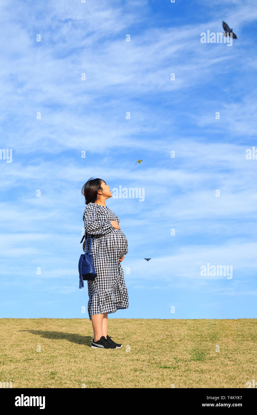 Pregnant Korean – Telegraph