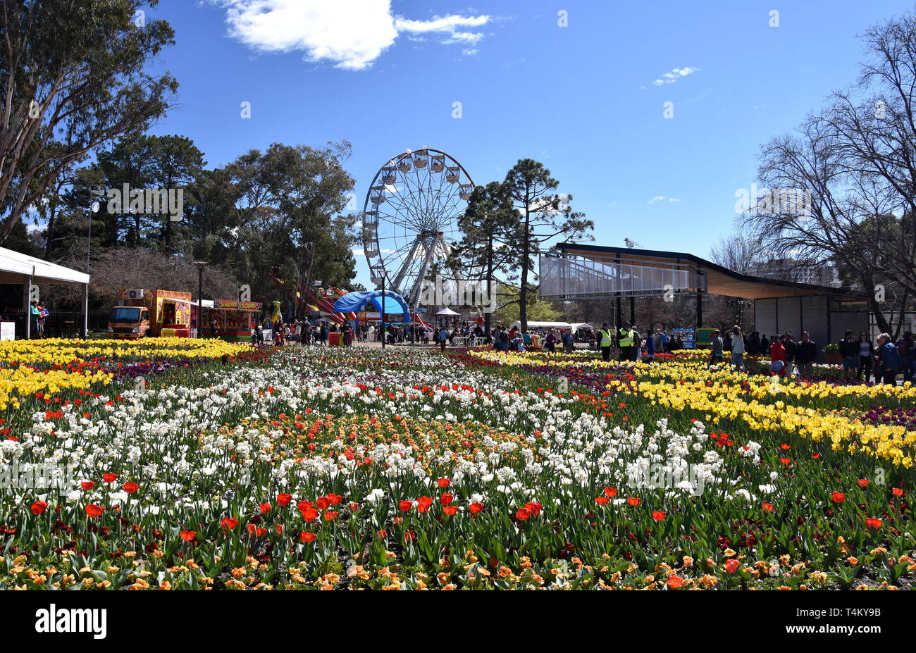 Floriade festival canberra hires stock photography and images Alamy