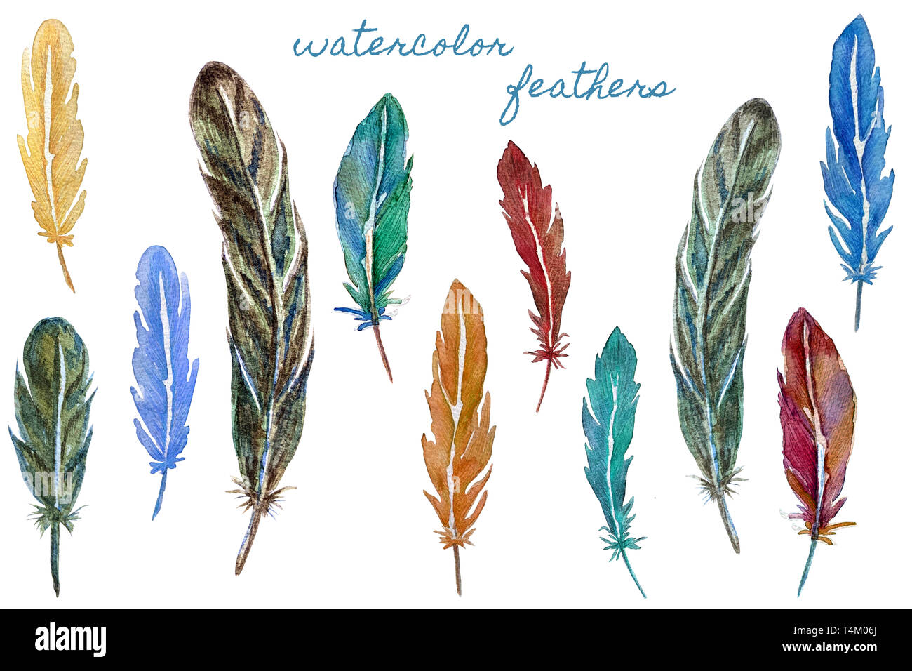 Set of bright feathers painted in watercolor on a white background ...