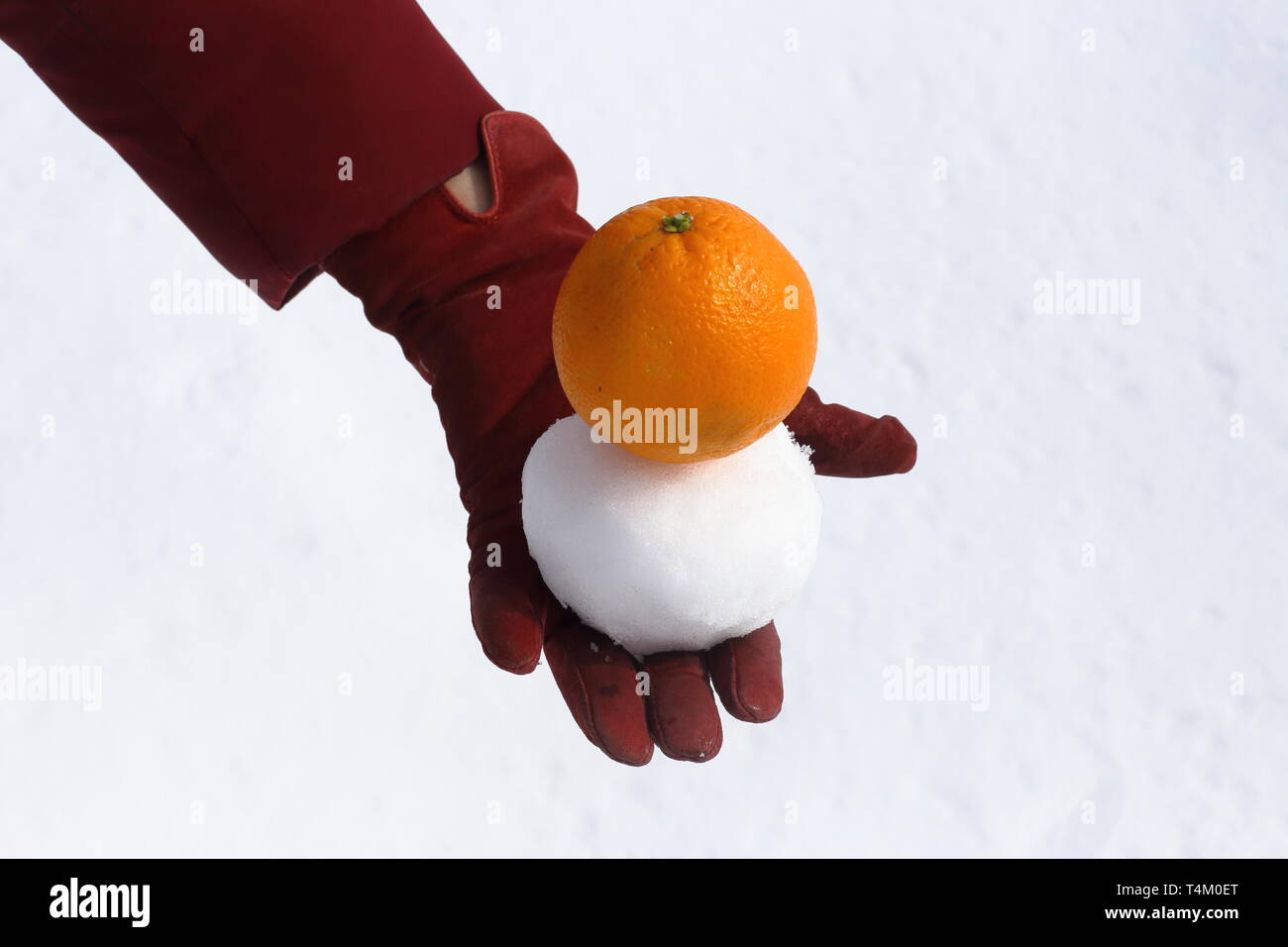 women's hands in gloves. keep snow and orange. white background, winter. Stock Photo