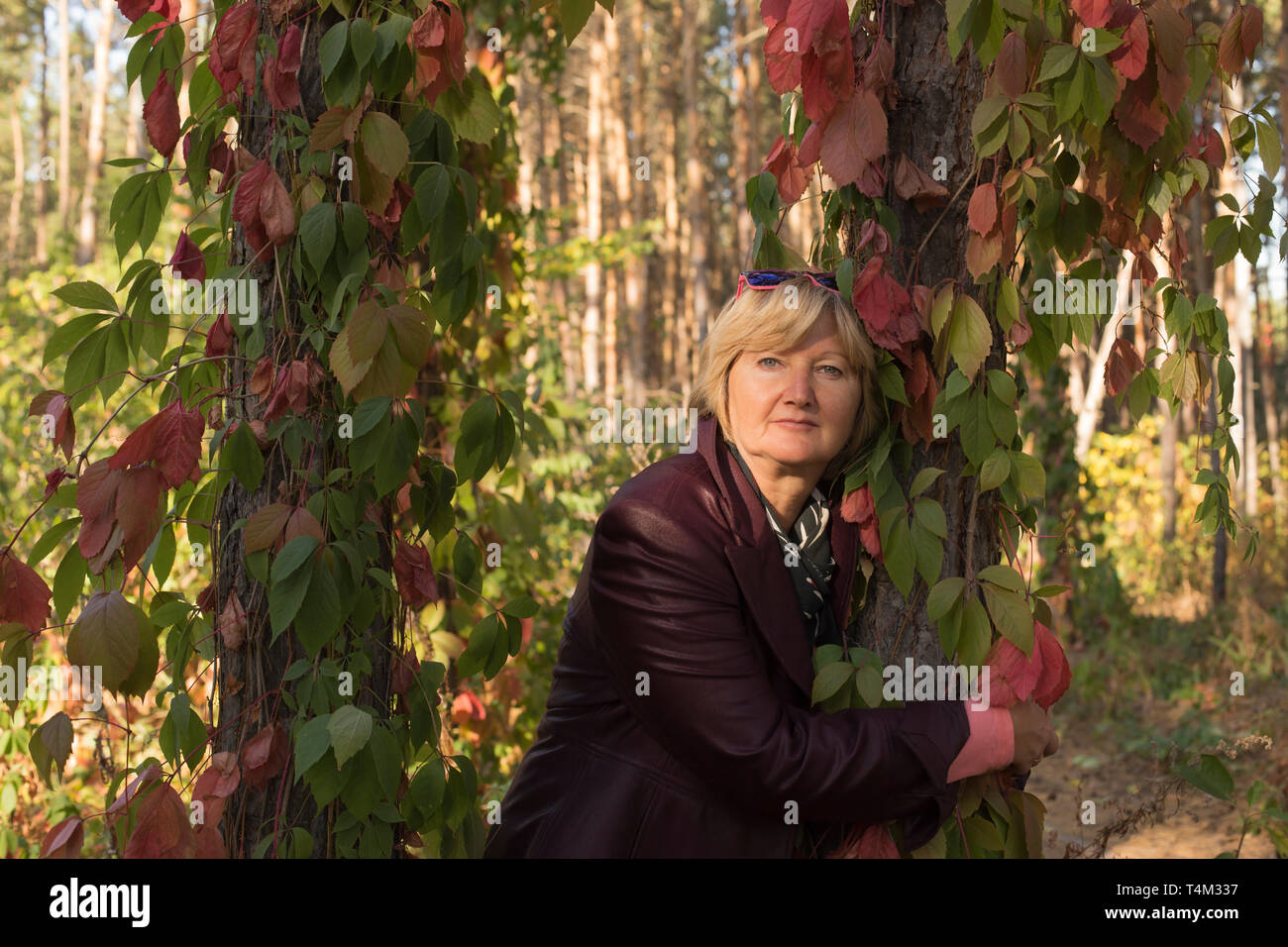 A happy middle-aged woman is in the forest in early autumn. Pink clothes.It stands near beautiful trees.There are large pink leaves around. Stock Photo