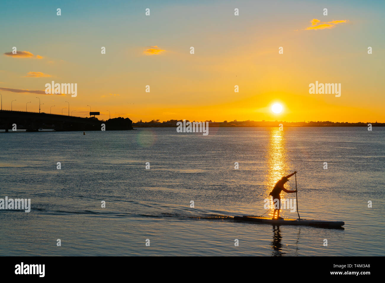 Sunrise glows across Tauranga harbor with curving lines of harbor bridge as silhouette of stand