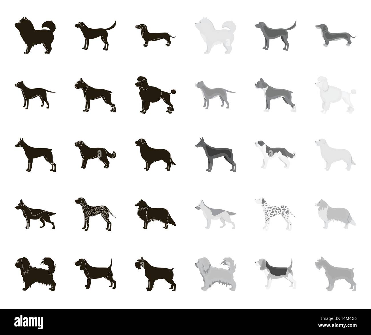 animal,beagle,bernard,black.mono,boxer,breed,breeding,breeds,bull,care,carnivorous,chao-chao,collection,collie,concept,dachshund,dalmatian,decorative,design,different,doberman,dog,element,eps,face,gray,hair,icon,illustration,isolated,labrador,logo,mammal,mittelschnauzer,official,paw,pet,pikines,pit,poodle,pug,retriever,set,shepherd,sign,symbol,vector,web,white Vector Vectors , Stock Vector