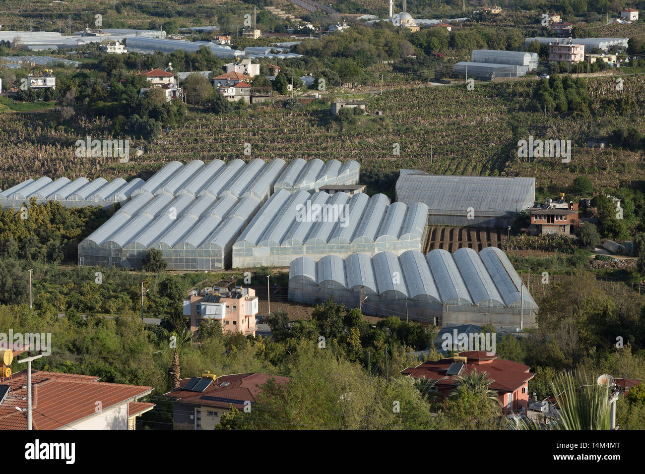 greenhouses, Kargicak, Alanya, Province Antalya, Turkey Stock Photo