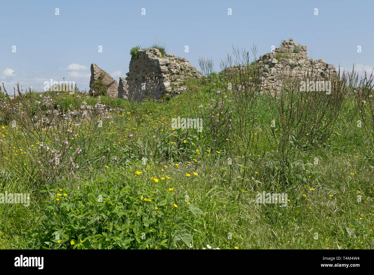 remains of a house, Side, Province Antalya, Turkey Stock Photo