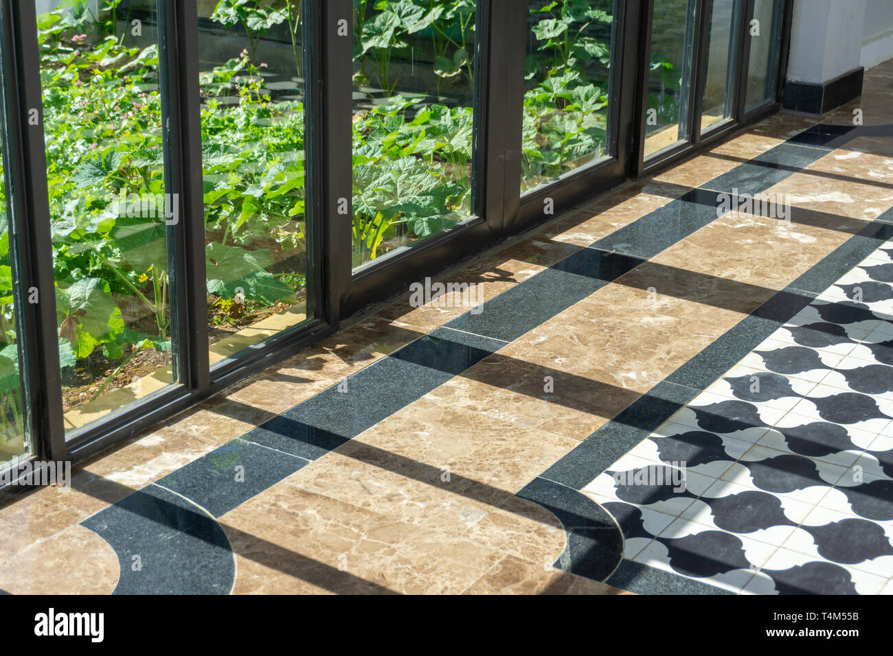 Green trees outside of glass wall view with vintage floor walk way Stock  Photo - Alamy