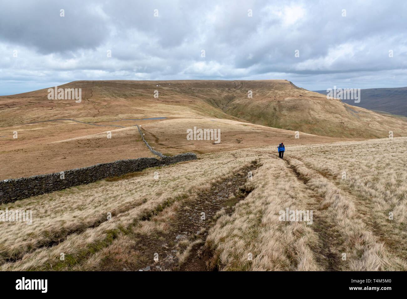 Person hiking across moorland from Wild Boar Fell, Mallerstang, Cumbria Stock Photo