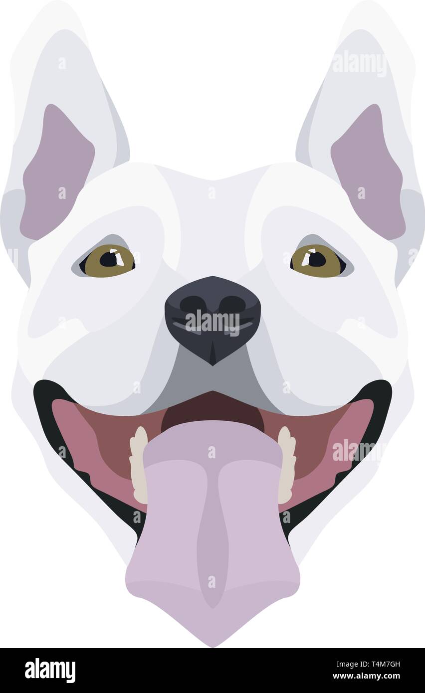 Illustration Bull Terrier | For all Dog owners. What you love about his dog? Puppy dog eyes, wagging tail, smiling, barking. The Bull Terrier is a m Stock Vector