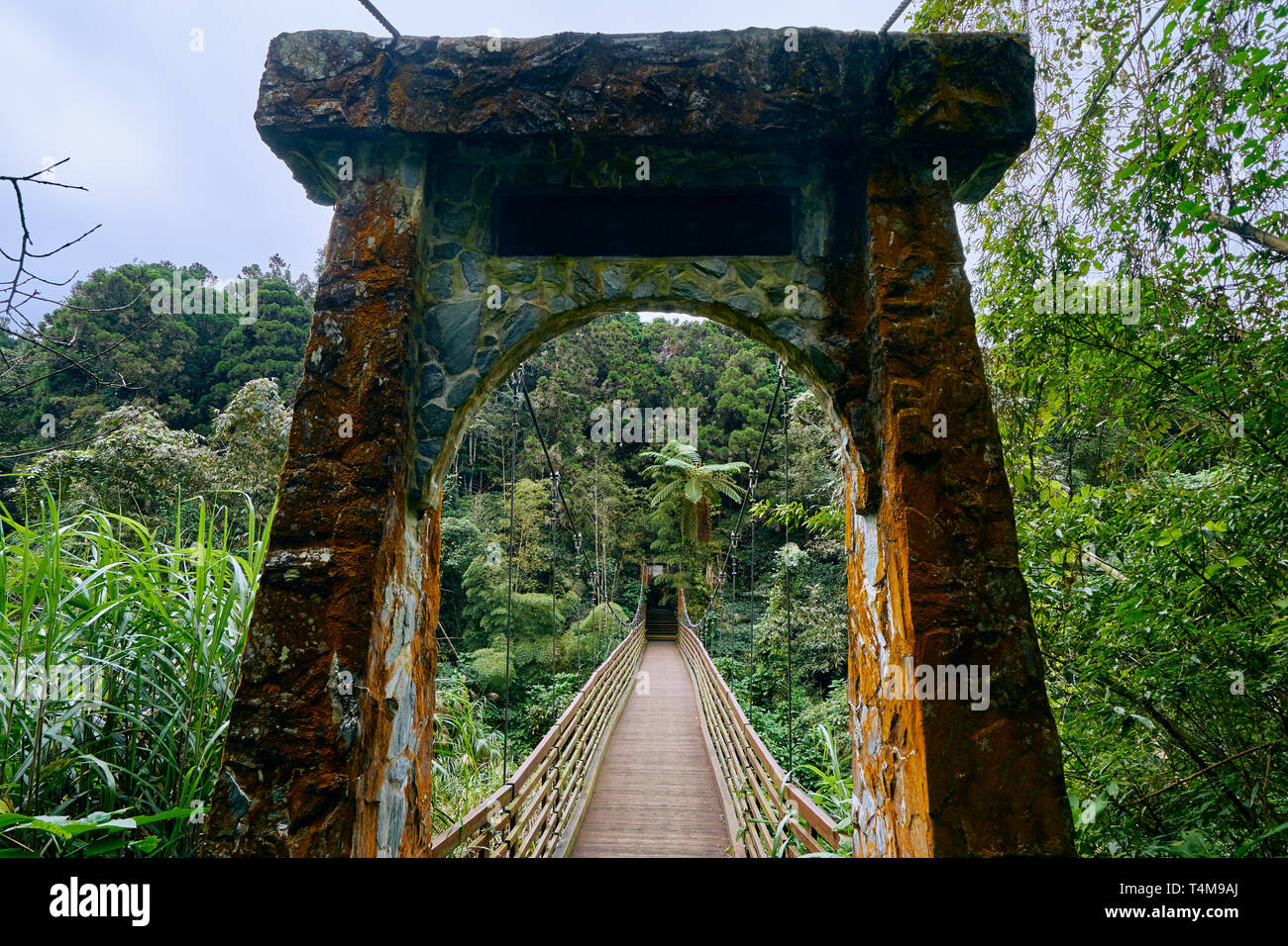 Beautiful scenics of Cuihong suspension bridge in Xitou Nature Education Area at Nantou Lugu, Taiwan. Stock Photo