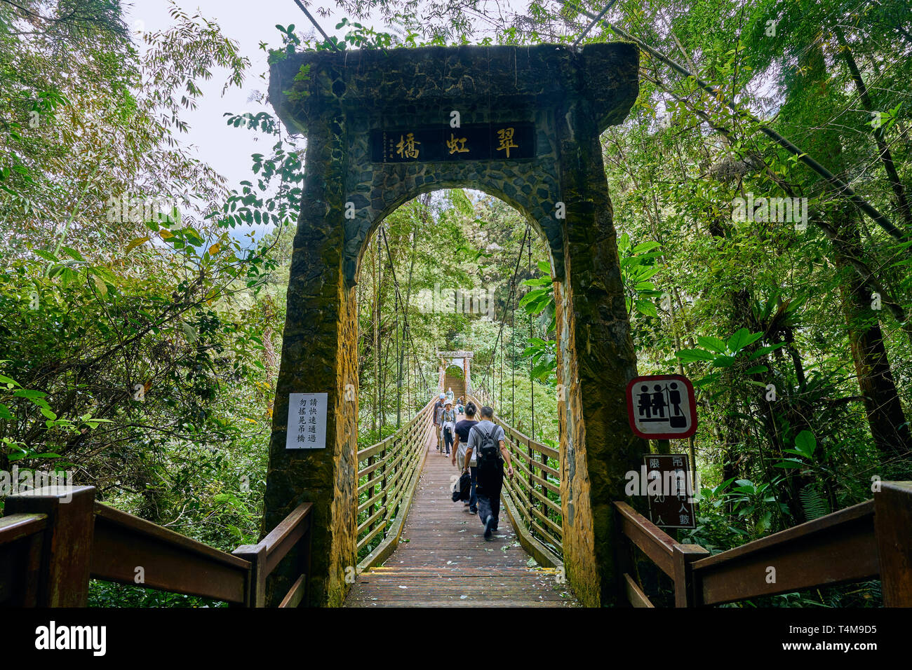 ovn Algebraisk Herre venlig Nantou, Taiwan - December 7, 2018: People across the Cuihong suspension  bridge in Xitou Nature Education Area at Nantou Lugu, Taiwan Stock Photo -  Alamy