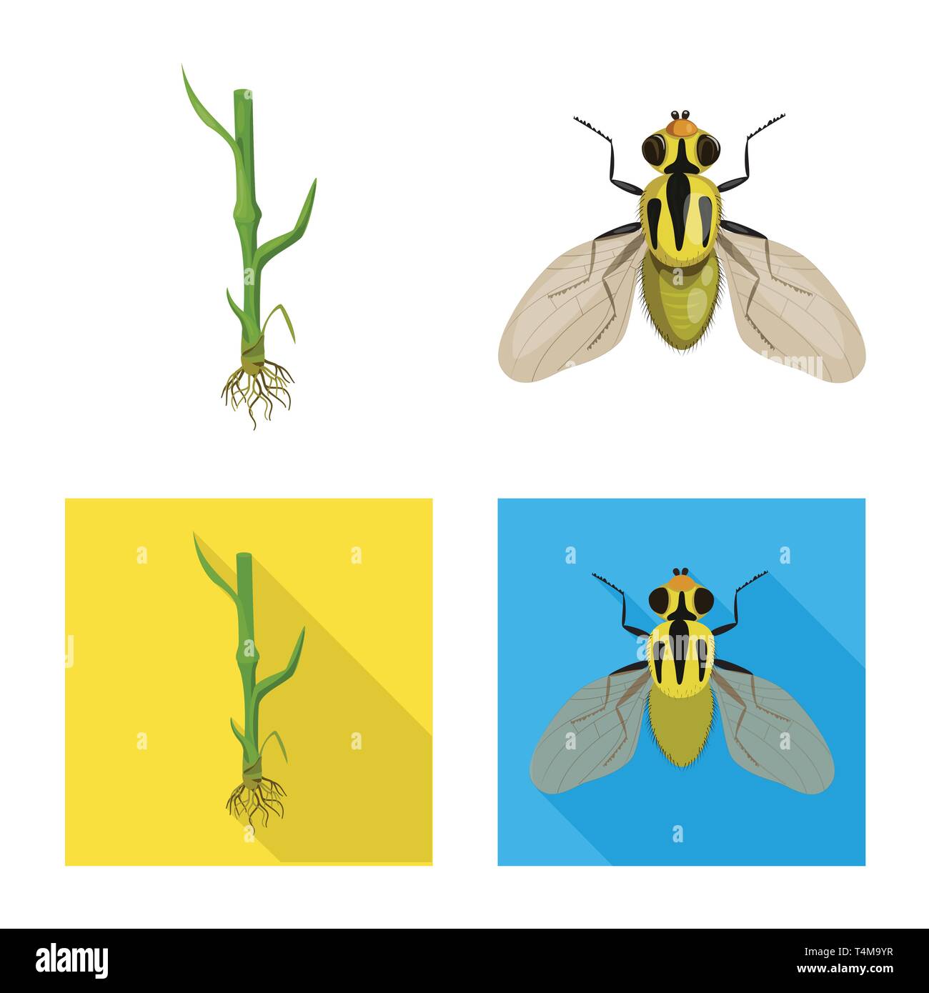 stem,fly,root,insect,pest,soil,control,seed,stop,grow,wings,cycle ...