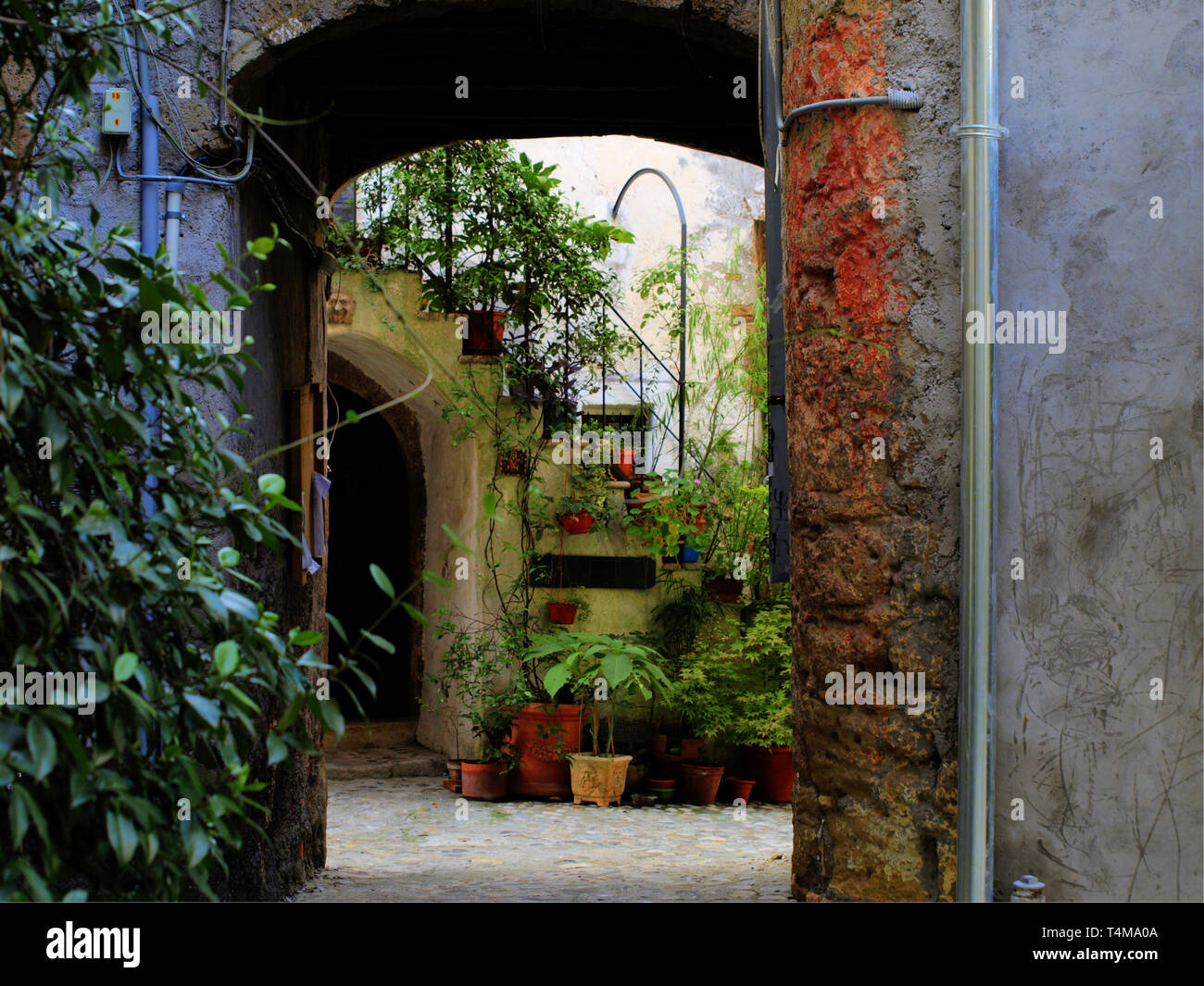 Pot plant courtyard hi-res stock photography and images - Alamy