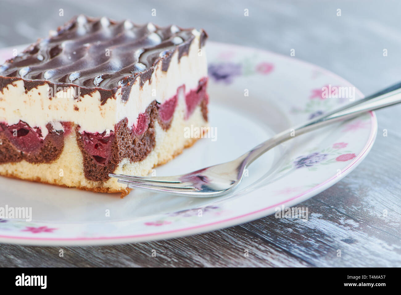 famous cake in Germany called Donauwelle is a chocolate covered cake with butter cream and sour cherries Stock Photo
