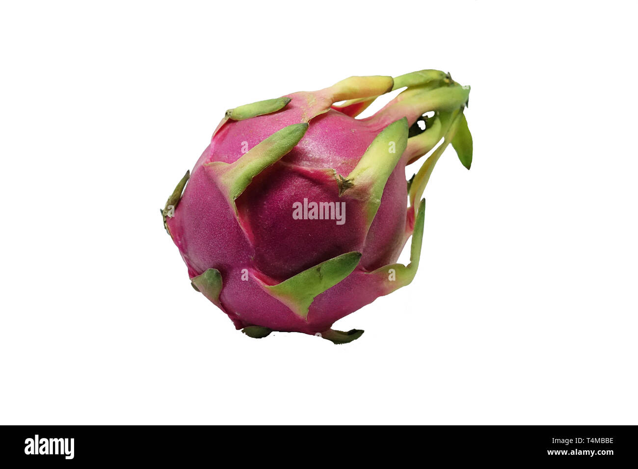 Dragon fruit or pitaya, the fruit of several different cactus species indigenous to the Americas, isolated on white background. Stock Photo