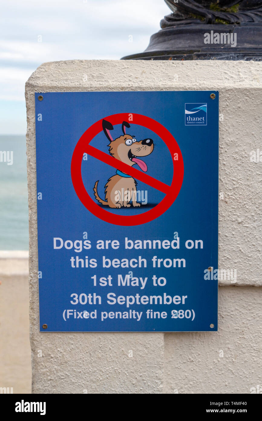 Sign advising visitors that dogs are banned from the beach in the summer months, Broadstairs, England. Stock Photo