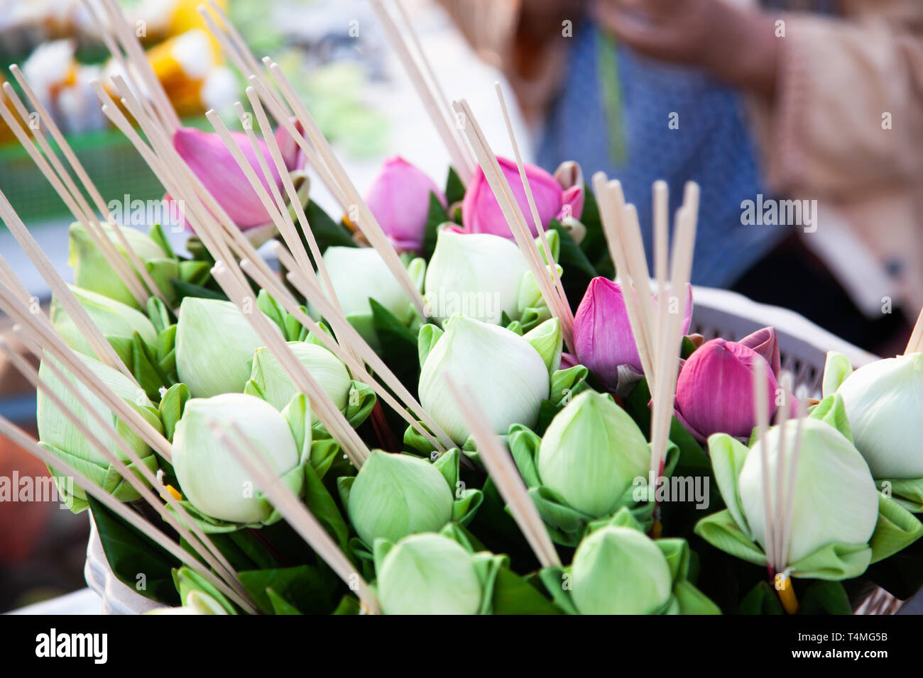 Peace and offerings hires stock photography and images Alamy