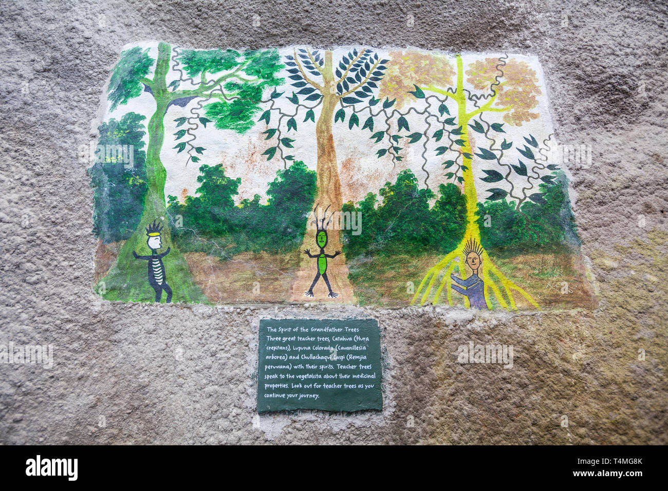 Wall paintings inside the Rainforest Biome at the Eden Project, Cornwall, England Stock Photo