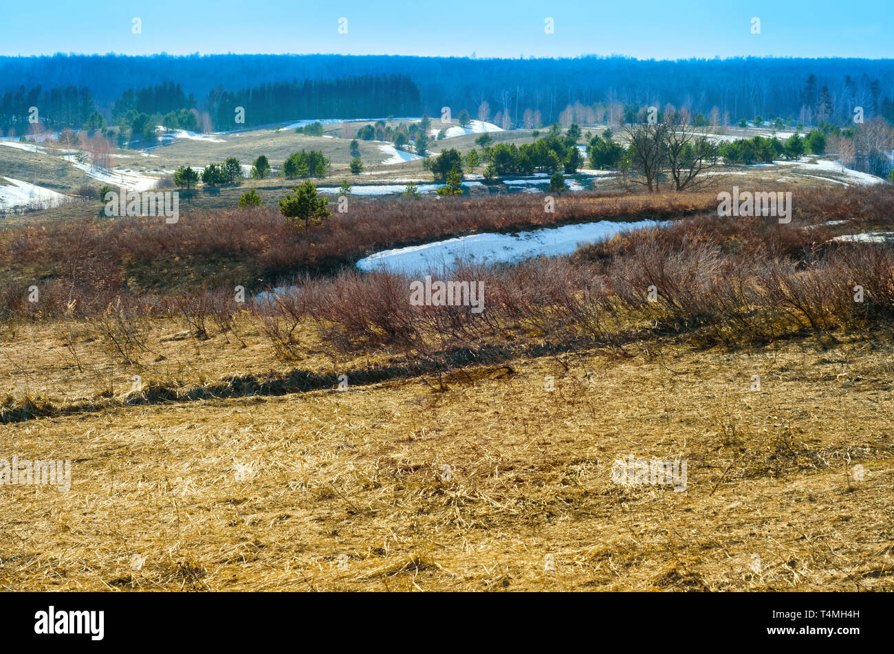 Russian spring landscape in April, snow melts Stock Photo - Alamy