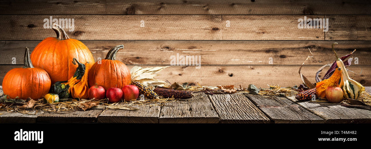 Thanksgiving With Pumpkins Corncob And Apples On Wooden Table Stock Photo