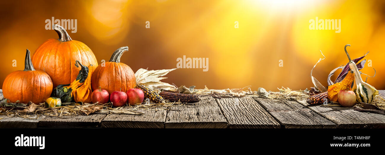Thanksgiving With Pumpkins Corncob And Apples On Wooden Tablebokeh Stock Photo