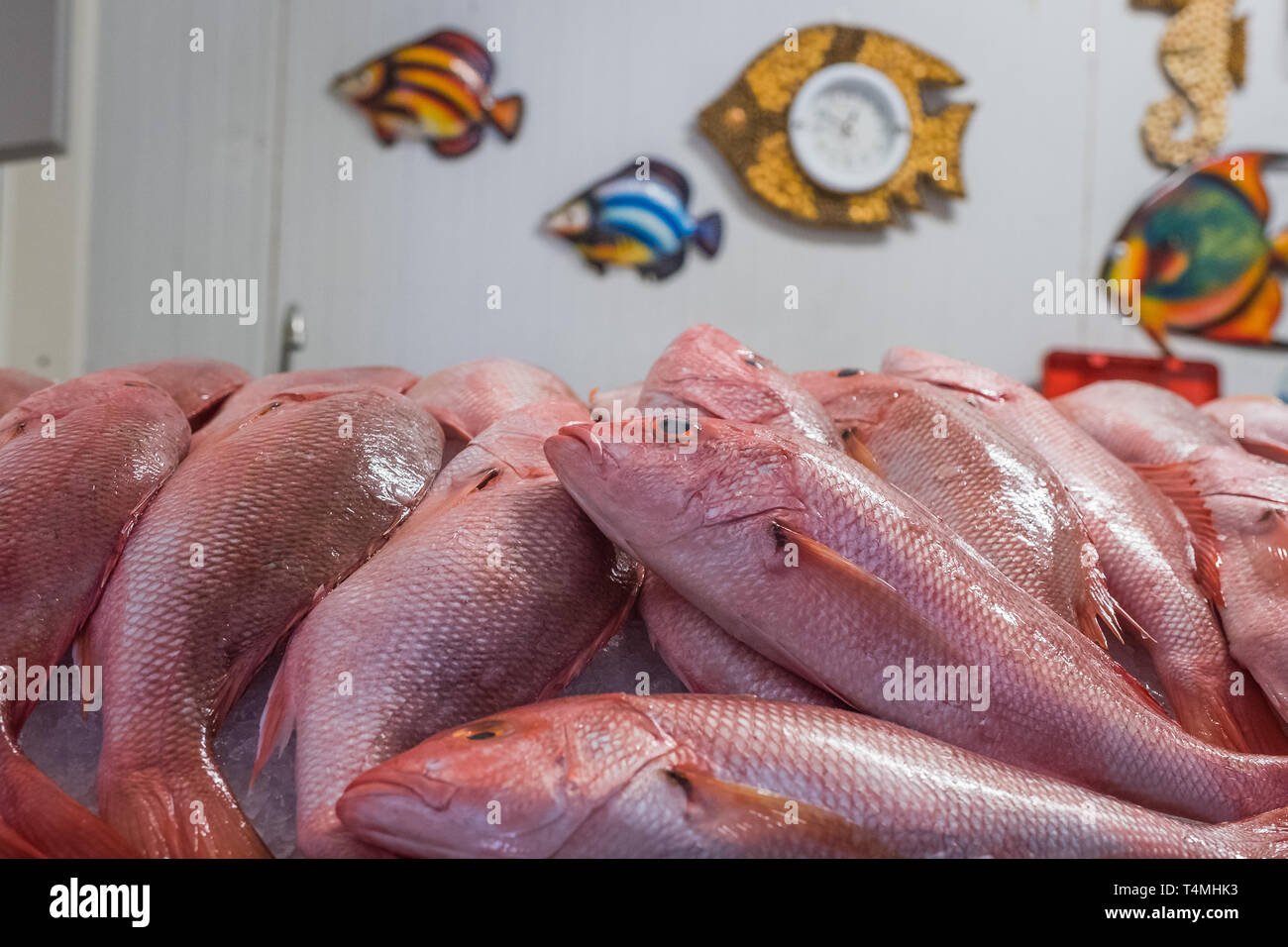 Guyane Fish French guyana market hi-res stock photography and images - Alamy