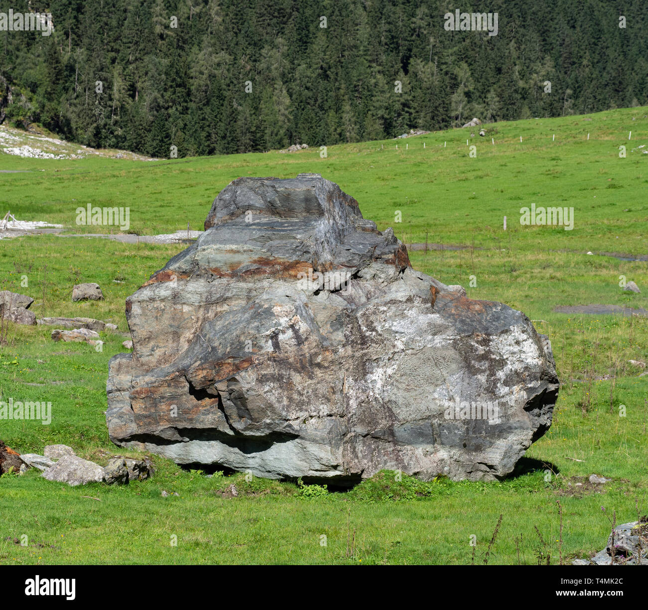 Big rock on pasture Stock Photo