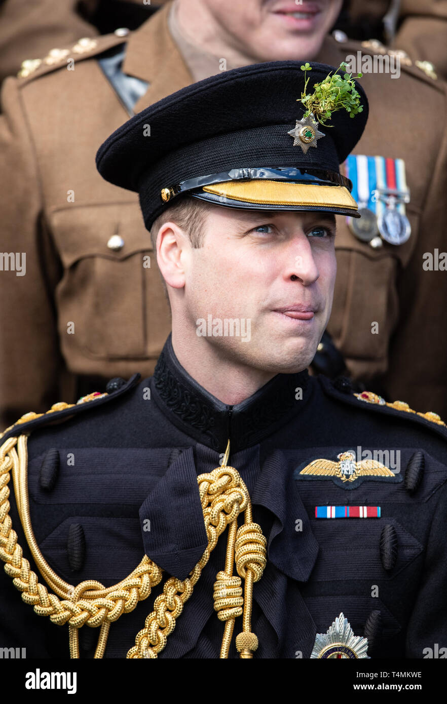 The Duke of Cambridge, Colonel of the Irish Guards, accompanied by The Duchess of Cambridge, visits the 1st Battalion Irish Guards at their St. Patrick's Day Parade at Cavalry Barracks, Hounslow.  Featuring: William Duke of Cambridge, Prince William Where: London, United Kingdom When: 17 Mar 2019 Credit: WENN.com Stock Photo