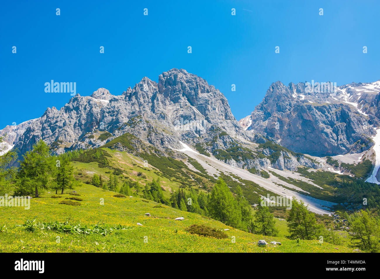 View closeup Alpine rocks in National park Dachstein, Austria, Europe ...