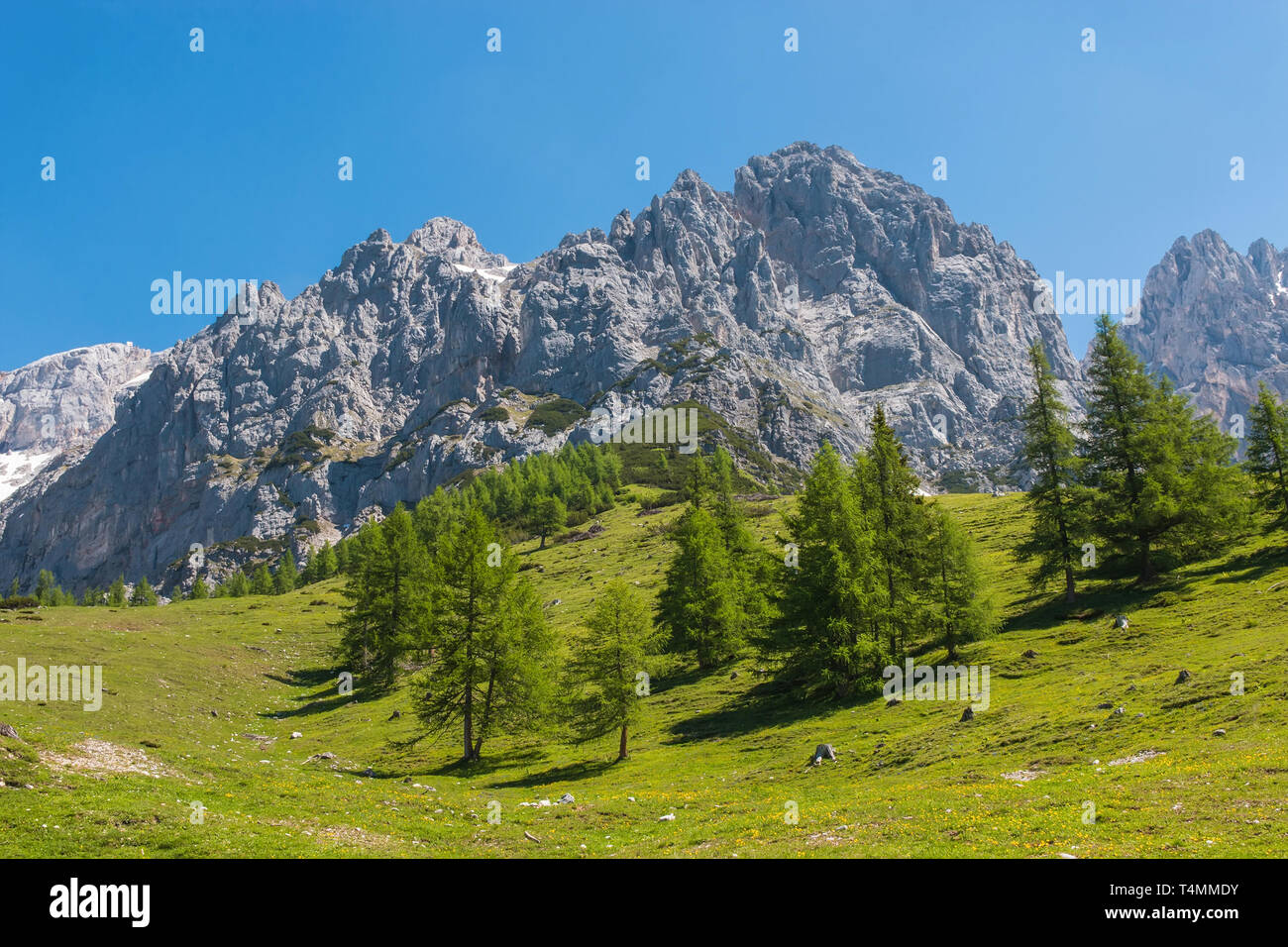 View closeup Alpine rocks in National park Dachstein, Austria, Europe ...