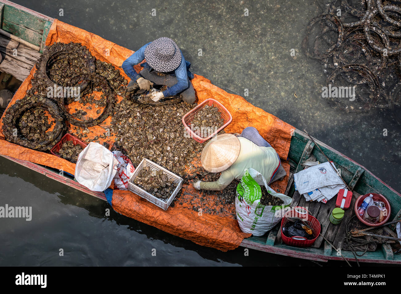 Oyster Farming With Rubber Tyres Vietnam Stock Photo Alamy